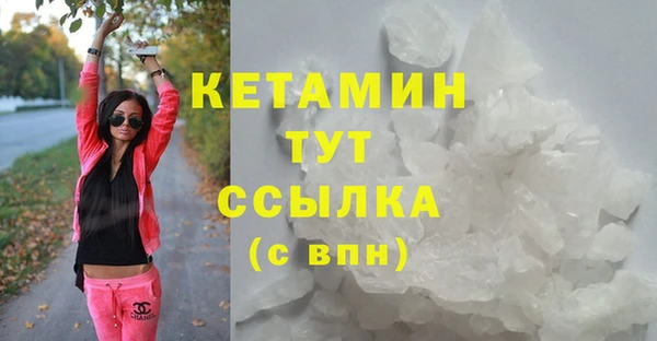 шишки Снежногорск