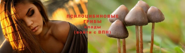 гидра Баксан