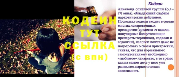 шишки Снежногорск