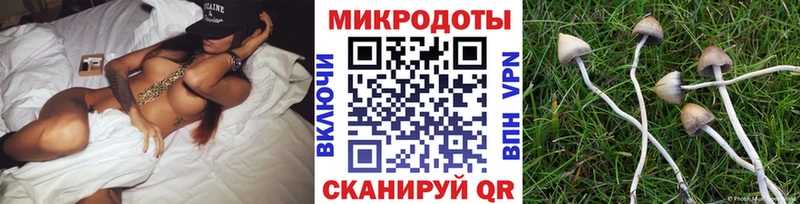 Галлюциногенные грибы MAGIC MUSHROOMS  OMG ссылки  Гаврилов-Ям 